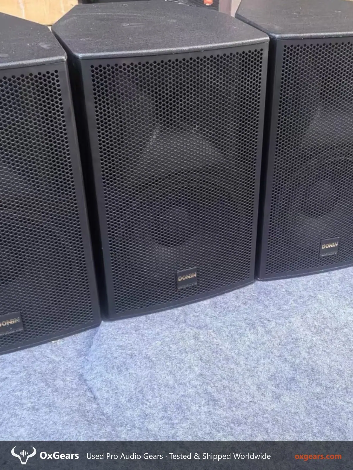 DONBN DW-12 loa toàn dải chuyên nghiệp 2