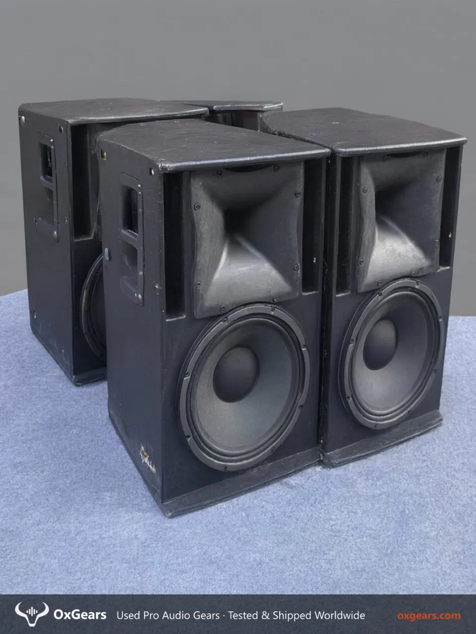 DONBN DW-12 loa toàn dải chuyên nghiệp 5